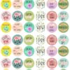 Flower Theme Stickers