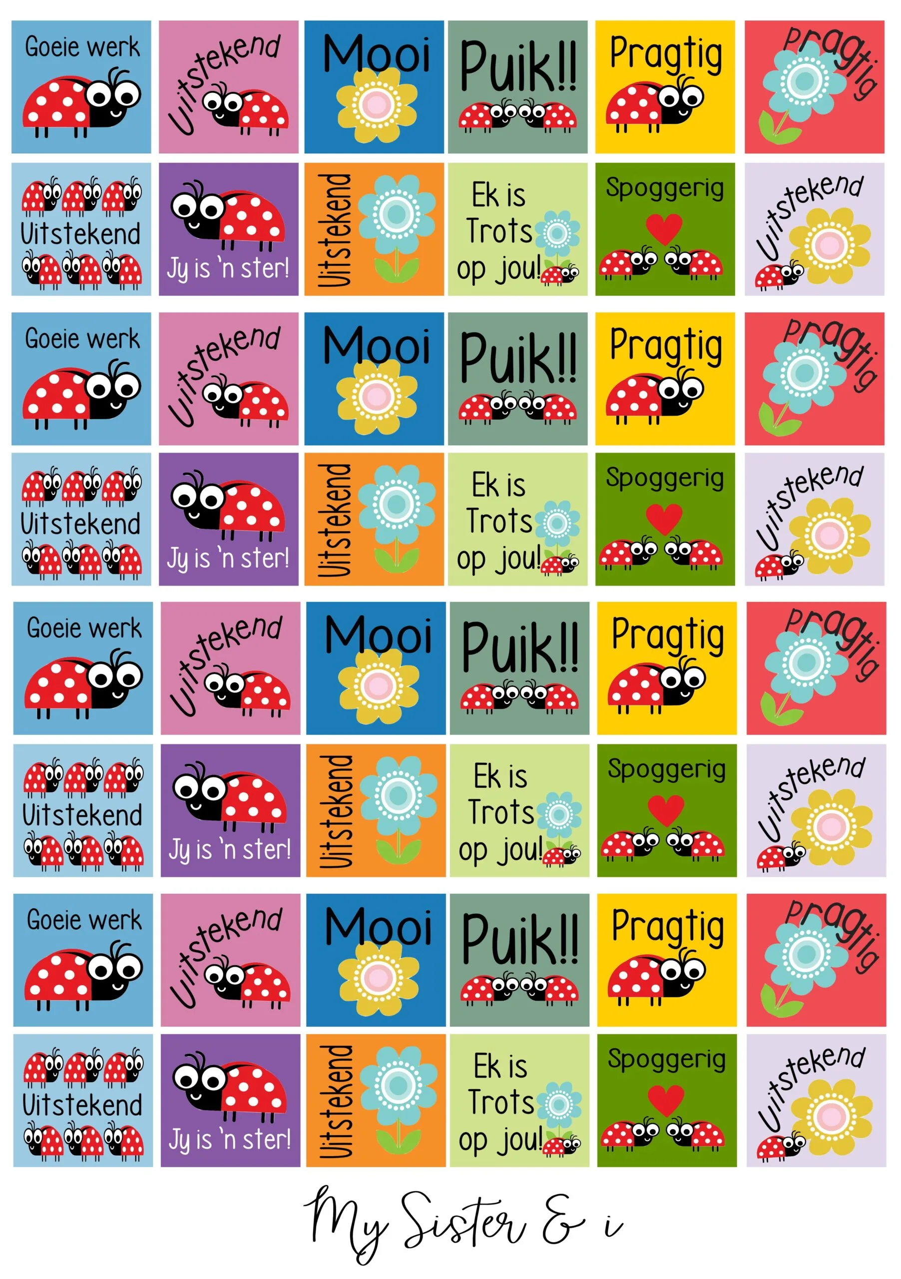 Lady Bug Afrikaanse Plakkers