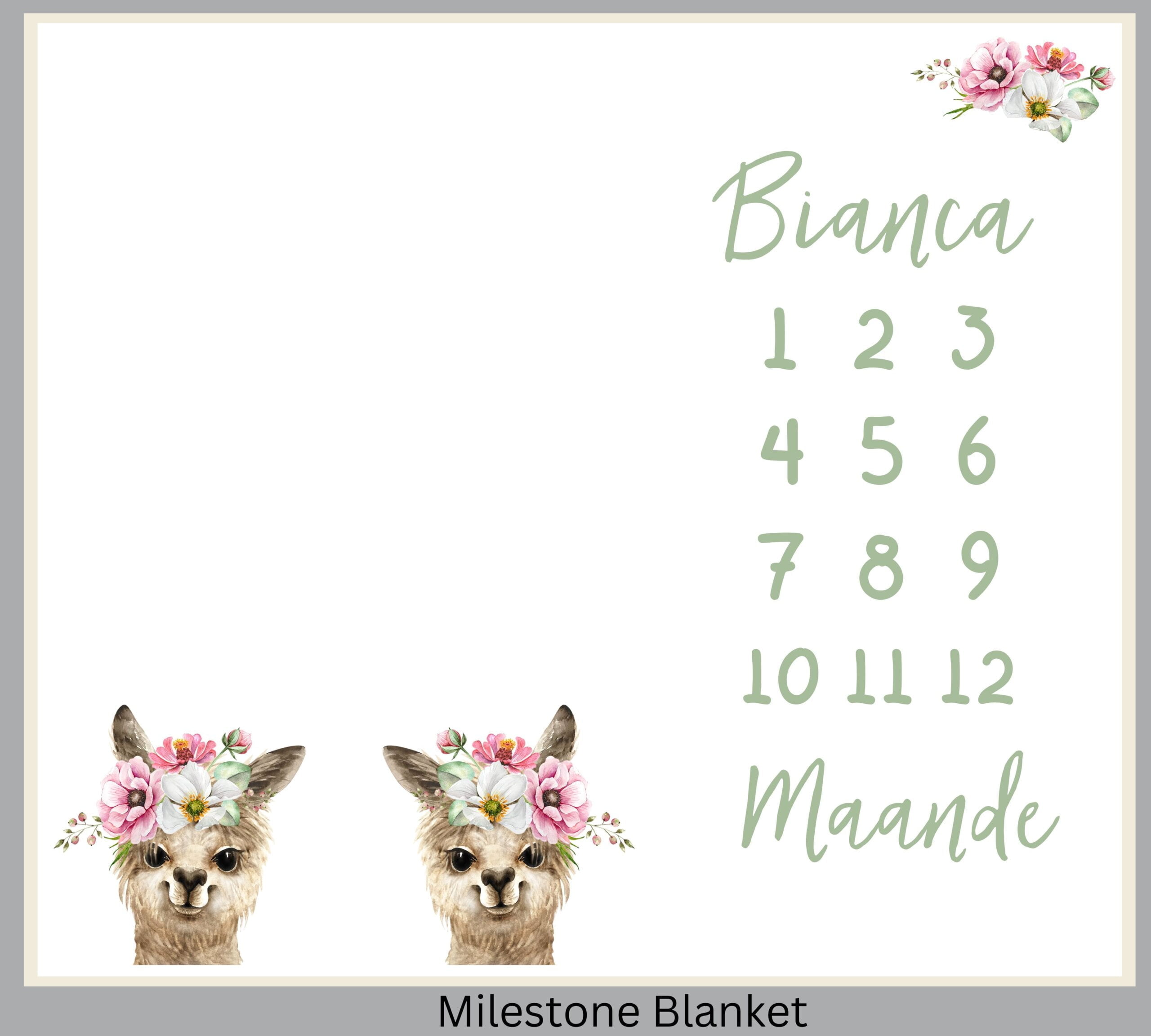 Girly Llama Milestone Blanket Afr