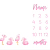 Flamingo Milestone Blanket English